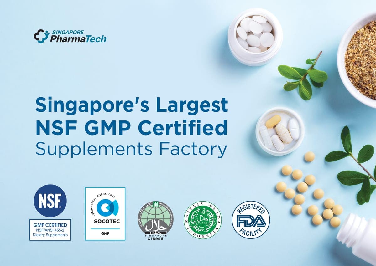 Factory & company certifications